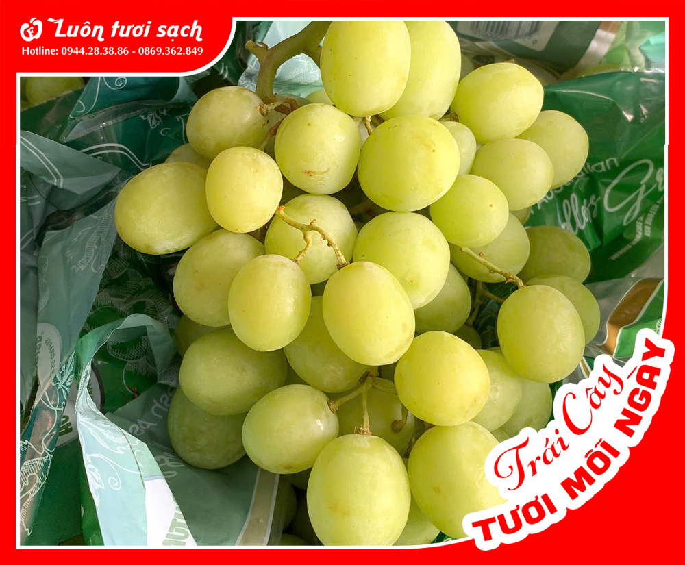 Nho xanh Autumn Crisp Úc